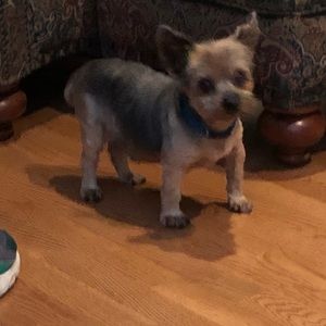 Meet your Posher, Ellen